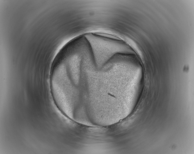 X0000091560863200709141534