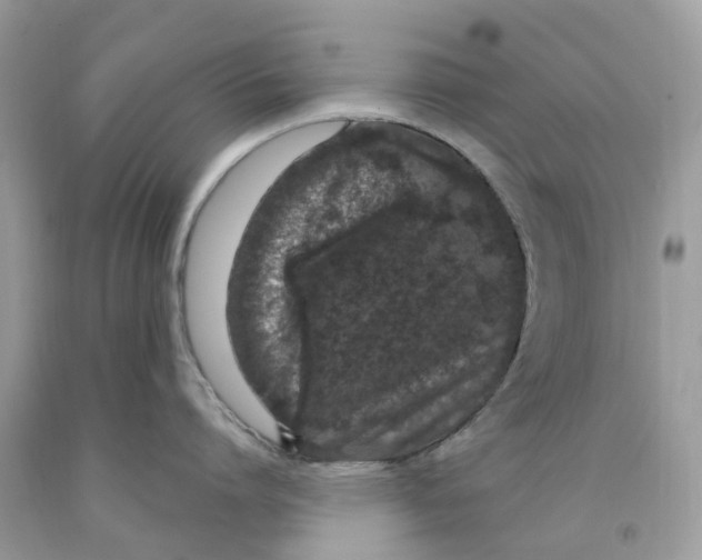 X0000091560864200709141534