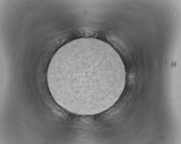 X0000091560865200709141534