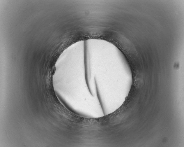 X0000091560866200709141534