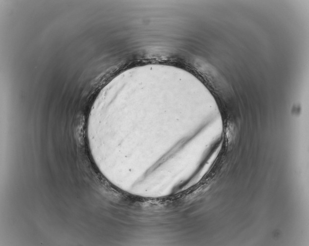 X0000091560867200709141534