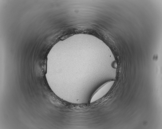 X0000091560868200709141534