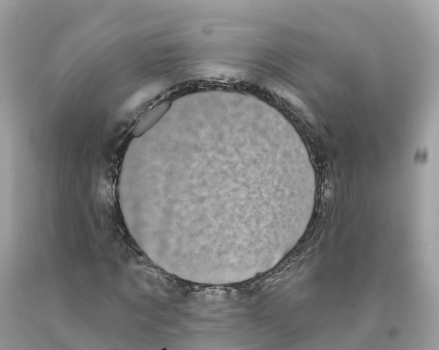 X0000091560869200709141534