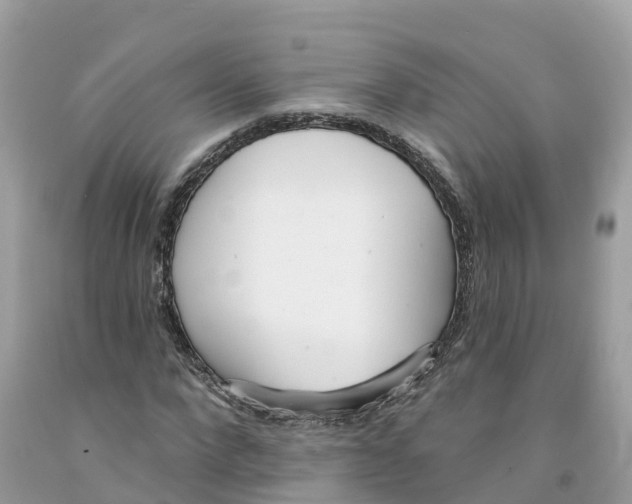 X0000091560872200709141534