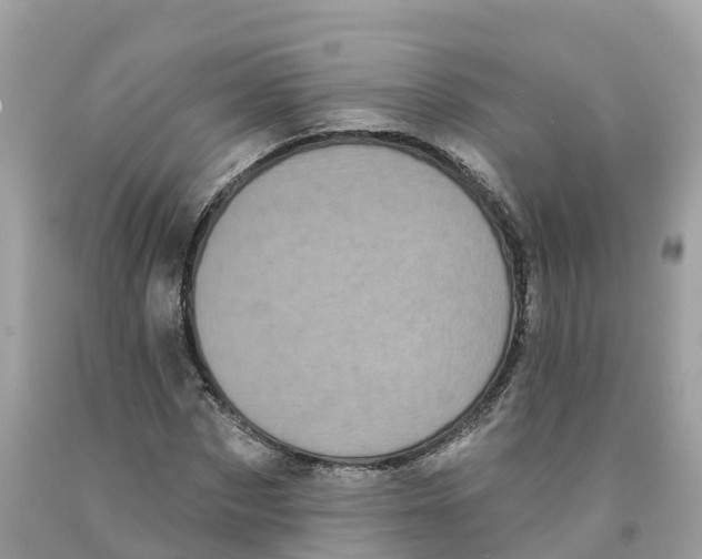 X0000091560873200709141534