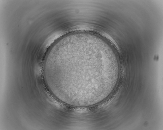 X0000091560874200709141534