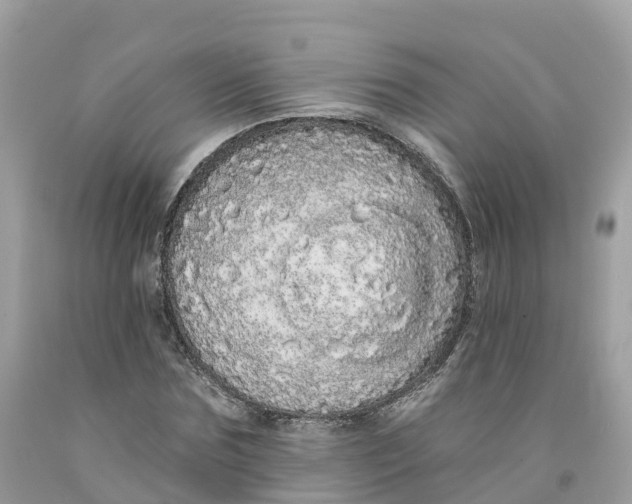 X0000091560875200709141534