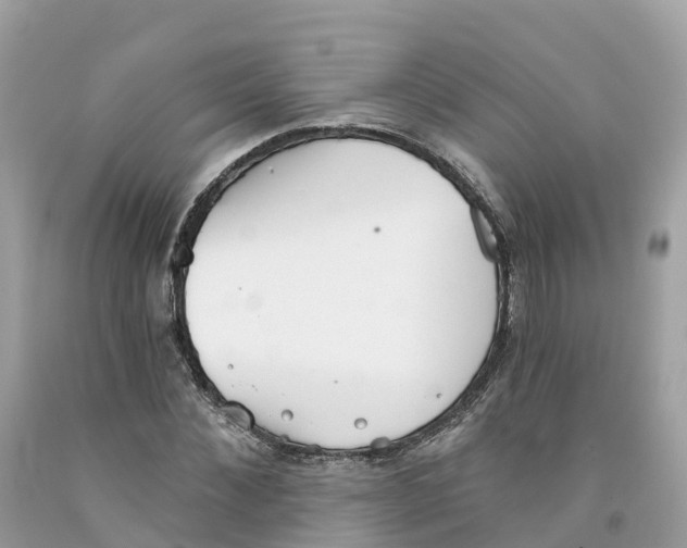 X0000091560876200709141534