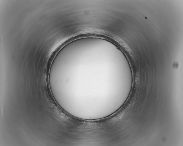 X0000091560877200709141534