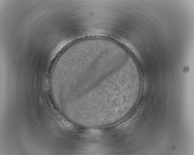 X0000091560878200709141534