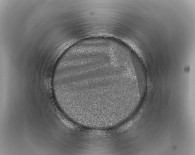 X0000091560881200709141534