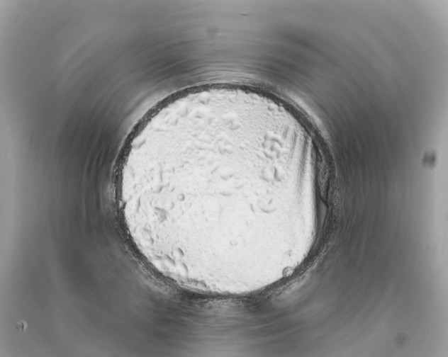 X0000091560883200709141534