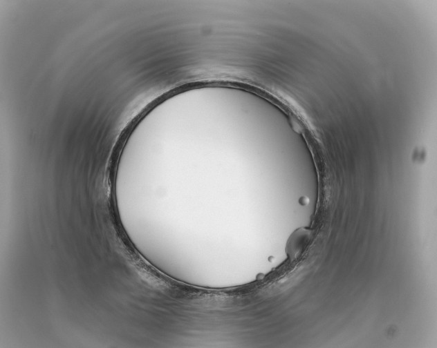 X0000091560885200709141533