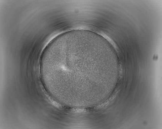 X0000091560886200709141533