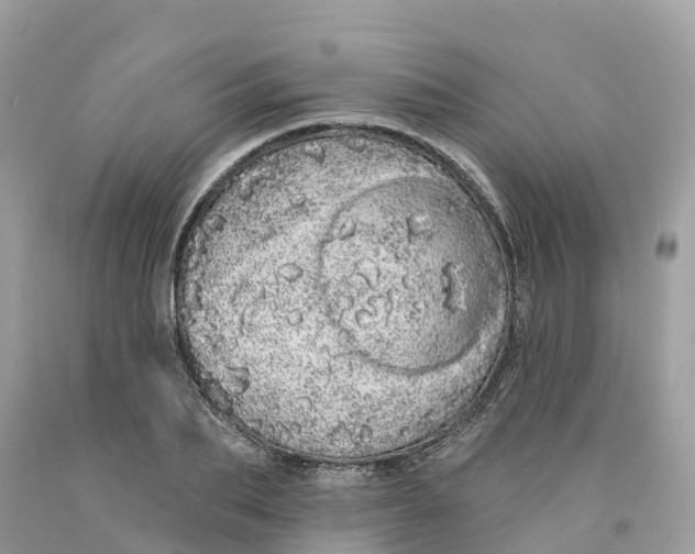 X0000091560887200709141533