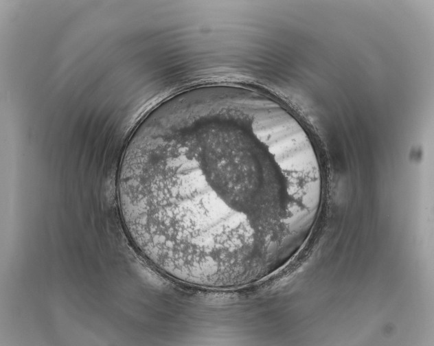 X0000091560889200709141533