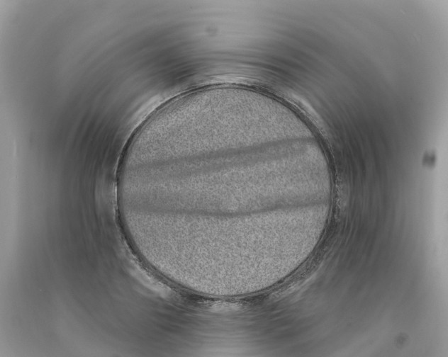 X0000091560890200709141533