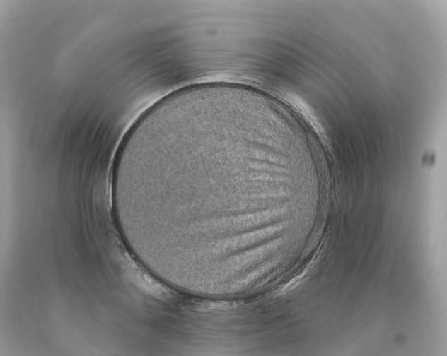 X0000091560892200709141533