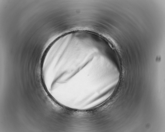 X0000091560894200709141533