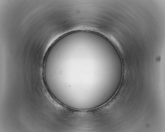 X0000091560896200709141533