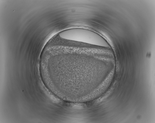 X0000091560899200709141533