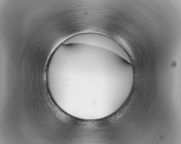 X0000091560900200709141533