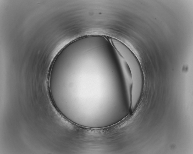 X0000091560901200709141533