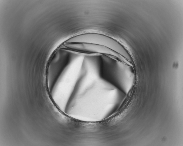 X0000091560902200709141533