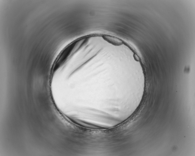 X0000091560903200709141533