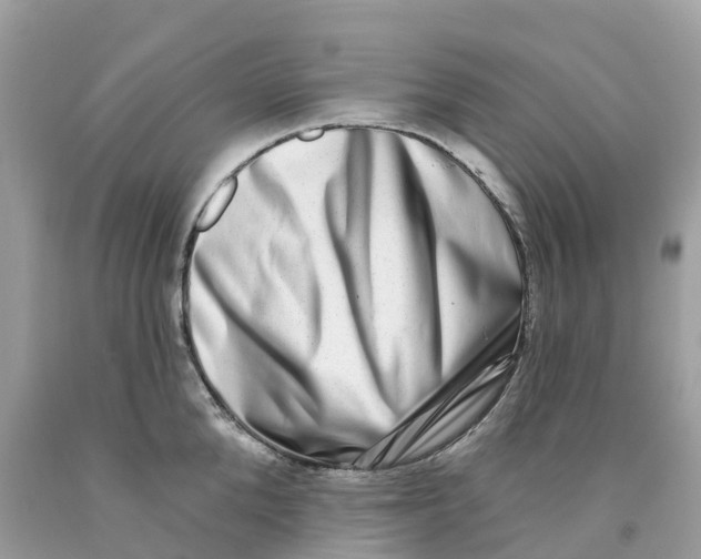 X0000091560904200709141533