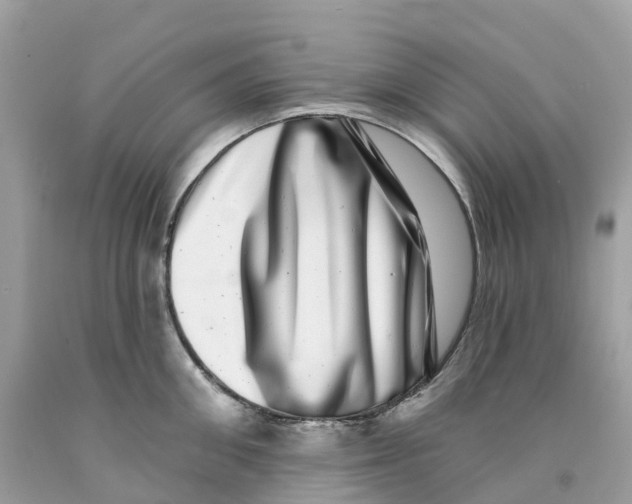 X0000091560906200709141533