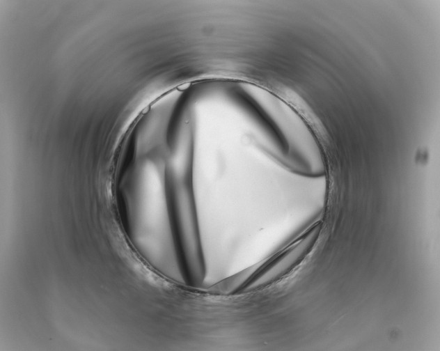 X0000091560908200709141533