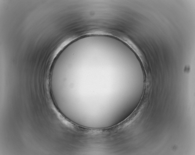 X0000091560909200709141533