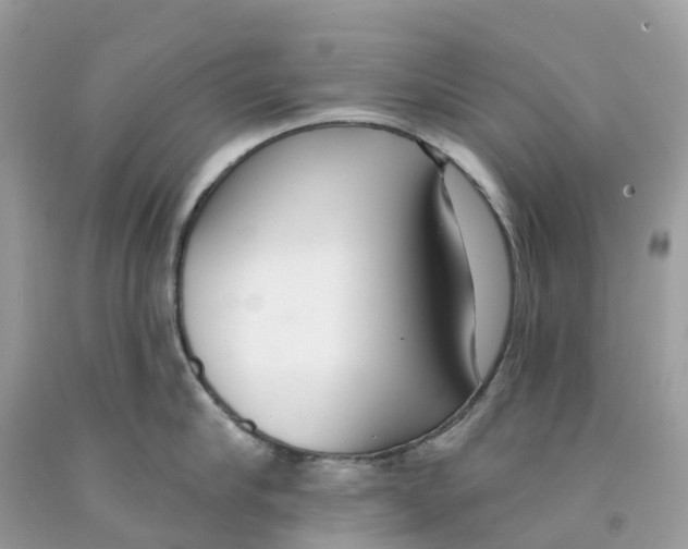 X0000091560910200709141533