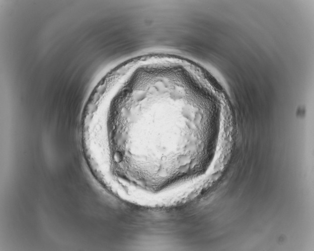 X0000091560911200709141533