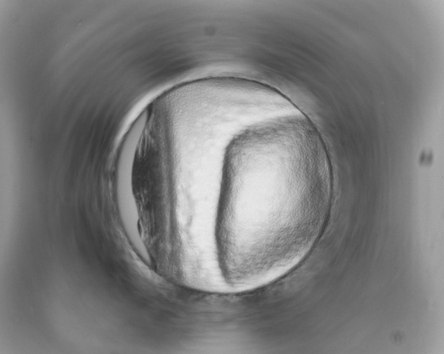 X0000091560912200709141533