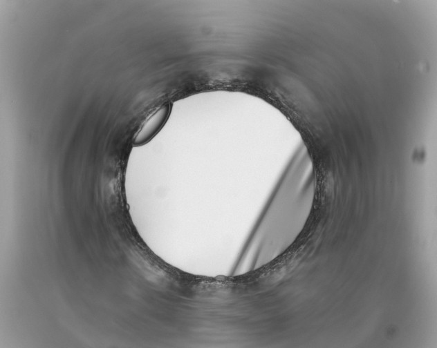 X0000091560914200709141532