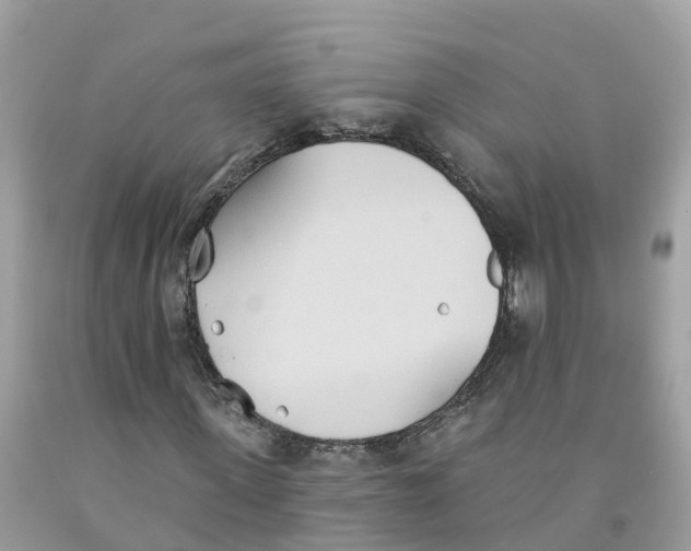 X0000091560915200709141532