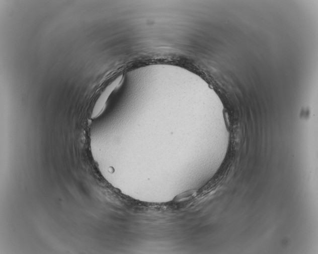 X0000091560916200709141532