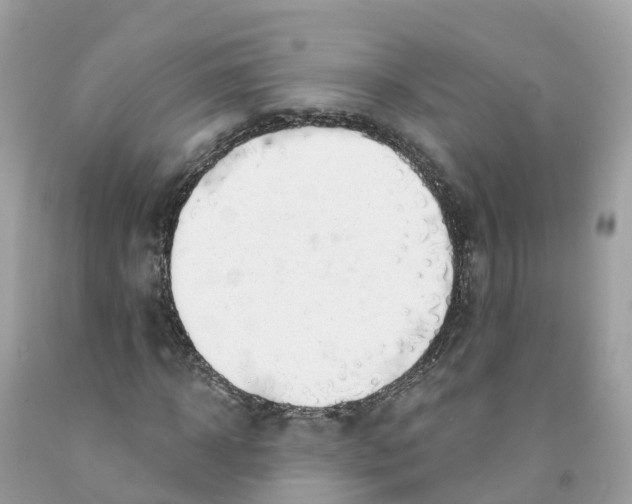 X0000091560918200709141532