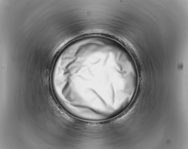 X0000091560921200709141532