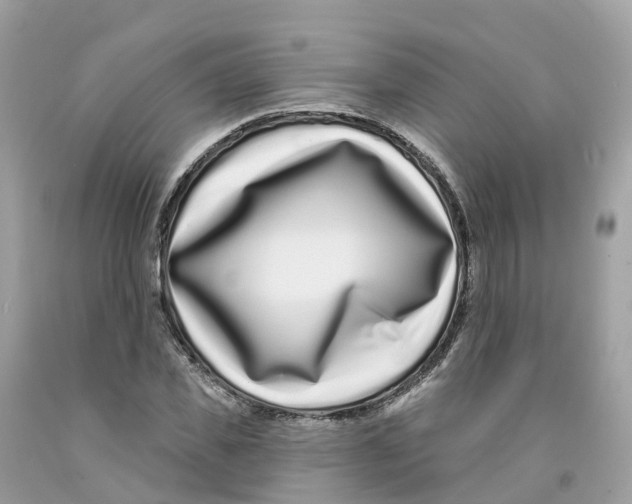 X0000091560925200709141533