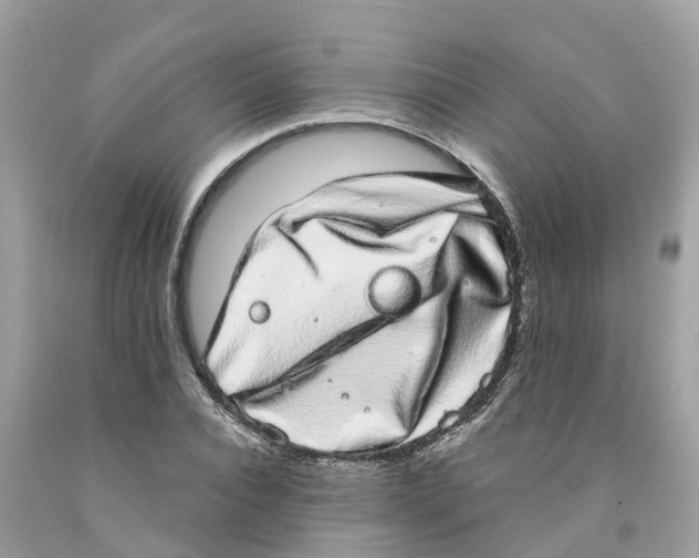 X0000091560928200709141533