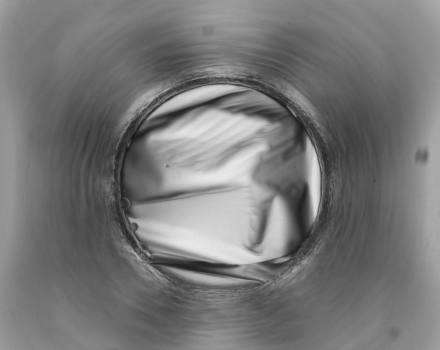 X0000091560930200709141533