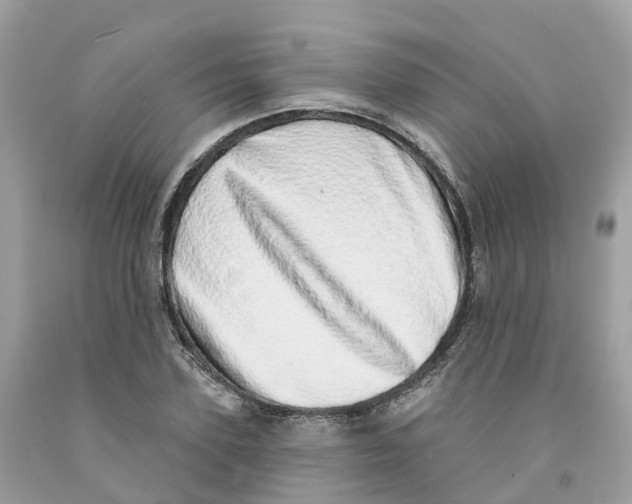 X0000091560931200709141533