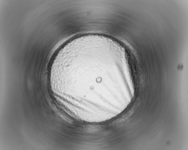 X0000091560933200709141533