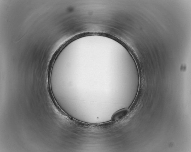 X0000091560935200709141533