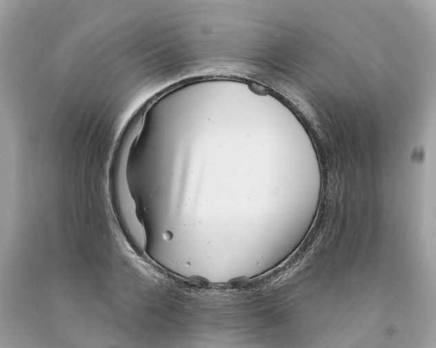 X0000091560936200709141533