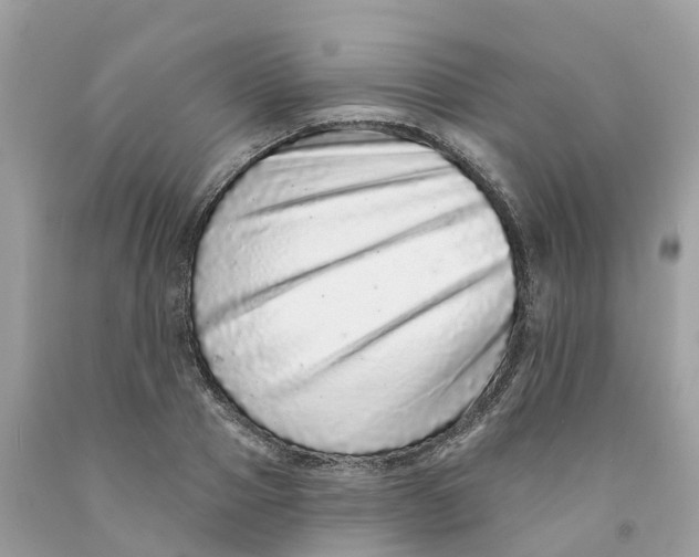 X0000091560937200709141533