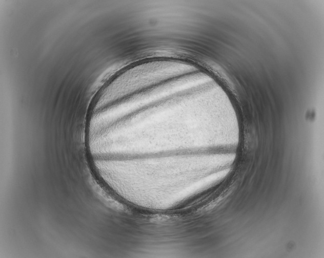 X0000091560938200709141533